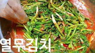 열무김치 황금레시피 - 시원하게 여름을 나는 열무김치 맛있게 담는법