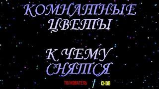 ТОЛКОВАТЕЛЬ СНОВ ~ КОМНАТНЫЕ ЦВЕТЫ ВО СНЕ, К ЧЕМУ СНЯТСЯ  СОННИК YOUTUBE. 