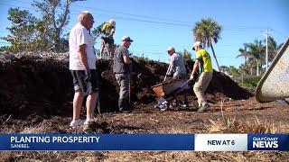 Sanibel’s 'Marsh Madness': How volunteers are restoring paradise after Hurricane Ian