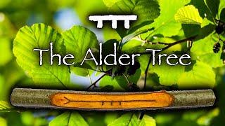 Alder | Mythology, Folklore and Magic of the Alder Tree (Fearn)