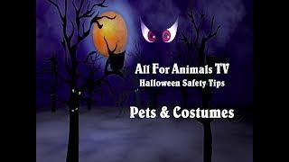 All For Animals TV Halloween Pet Safety Tips: Pets & Costumes