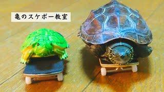 【亀好き必見】スケボー亀が増えました【The number of skateboarding turtles has increased】