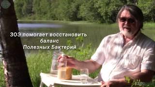 Полноценная еда с эликсиром ЗОЭ