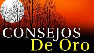 Los Mejores Consejos y Reflexiones De La Vida ¦ Consejos Que Valen Oro ¦ Reflexión, Gratitud #vida