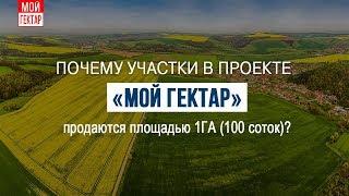 Почему участки в проекте "Мой гектар" продаются по 1 га (100 соток)?