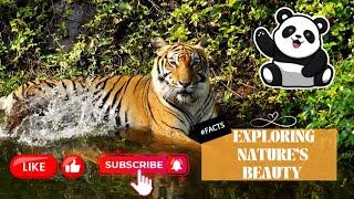 Exploring Nature's Beauty! #Facts #knowledgenest  Education