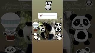 16.03.2022. Happy Panda Day  My favorite Unusually bear