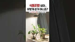 식물 성장조명, 이거 모르고 쓰면 소용없어요‼ | 식물조명 꼭 이거 알고 쓰세요! #식물조명추천 #햇빛조명