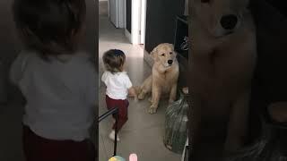 Adorable Toddler Gives Her Dog Hugs Before Leaving For School