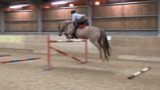 Boo jumping to 1.30m (4'3)