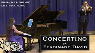 Concertino (F. David) - Constanze Hochwartner & Peter Steiner