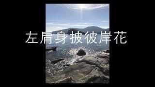 左肩身披彼岸花  李牌牌 remix 背景音乐 超级好听