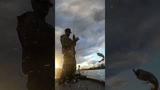 FISHING is always a good time! #bassfishingvideo #fishing #fishingvideo #anglingtips