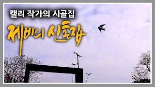 캘리 작가의 시골집 [50] 청운재에 제비 부부가 찾아왔습니다.