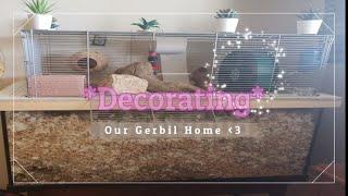 Gerbil Care - Setting Up Our Gerbil Tank/ Cage