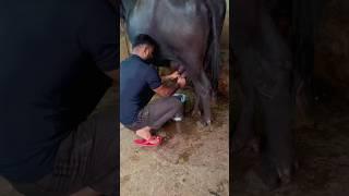 Full Day Routine️#shorts #ytshorts #motivation #trending