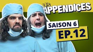 Les Appendices - s06e12 - Les Denis Drolet