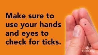 Know how to do tick checks