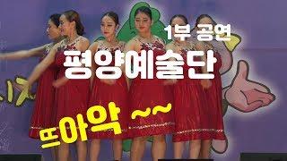[WTV] 초대공연 평양예술단 / 1부  (장안문 거북시장 제9회 음식문화축제 와와방송)
