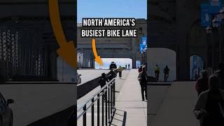 North America's Busiest Bike Lane #cyclinginfrastructure #carfree #bikelane #urbanism #micromobility