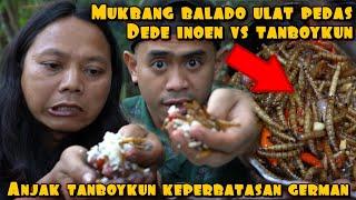 DEDE INOEN VS TANBOY KUN MAKAN ULAT BALADO SUPER PEDAS