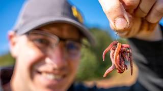 The MEDUSA Rig! | CARP Fishing With WORMS!