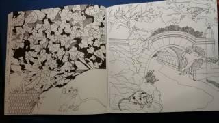 The Wildlife of New York Coloring book review