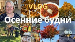 VLOGПрогулка с собакой/Обзор покупок/Завтрак/Работаем на участке/К зиме готовы/Распаковка посылки