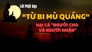 Nghe Lời Phật Dạy : Từ Bi Mù Quáng - Gây Hại Cả NGƯỜI CHO và NGƯỜI NHẬN | Cách Thực Hành Hiệu Quả