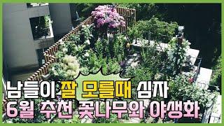 남들 다 모를 때 심자! 과일도 수확하고, 눈도 즐겁고! 정원에 딱인 6월 추천 식물 5종 소개 #가드닝 #정원 #정원꾸미기