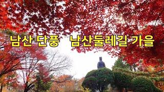 [남산 단풍] 서울단풍명소 Seoul Autumn Leaves, Namsan