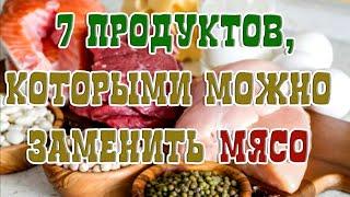  7 ПРОДУКТОВ, КОТОРЫМИ МОЖНО ЗАМЕНИТЬ МЯСО  Замены мяса и восстановления здоровья