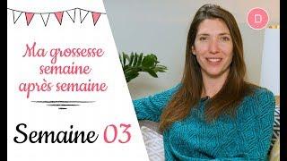 3ème semaine de grossesse – Les nausées