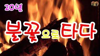 꽃 중에서 가장 따뜻한 꽃 (Woodfire)    글빵^^