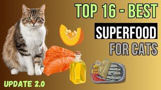 Top 16 Superfoods for Cats - UPDATE 2.0 BOOST your cats health!