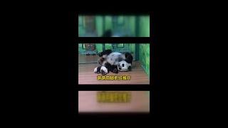 搞笑日常：萌娃被妈妈一脚踹开的瞬间