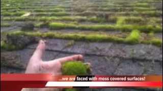 Pressure Washing Contractor in Oregon and Washington by Champion Property Improvement