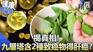 九層塔含「2種致癌物」吃了會得肝癌？ 揭真相！【57健康同學會】精華篇｜廖慶學 嚴立婷  蕭敦仁 譚敦慈 劉怡里 郭主義