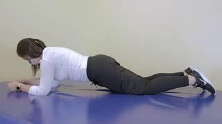 Home Exercises for Spinal Cord Injury: Modified Prone to Plank