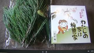 Pine, plum, Japanese