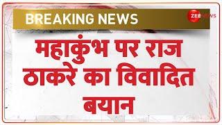 Raj Thackeray on Mahakumbh: महाकुंभ पर राज ठाकरे का विवादित बयान | Breaking News | Maharashtra|Hindi