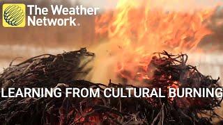 What cultural burning can teach us about fire management and forest biodiversity