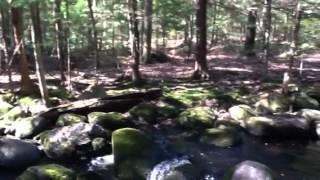 Francestown NH Real Estate Rand Brook Cascade