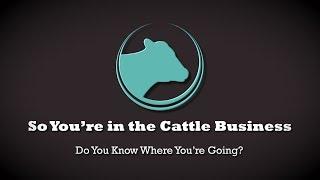 So You're in the Cattle Business