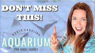 Tour of the Pine Knoll Shores Aquarium | Best Things on the Crystal Coast