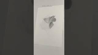 How To Draw A Rose || pencil sketch || easy drawing
