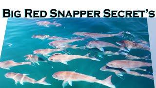 Big Red Snapper Secrets: Proven Tips for Massive Catches