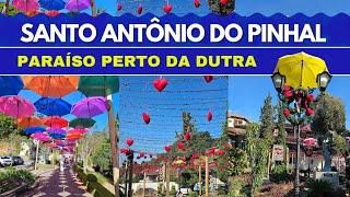 SANTO ANTÔNIO DO PINHAL - SP: Um achado na Serra da Mantiqueira em São Paulo