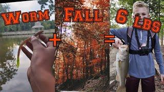 Why the trick worm is the best fall bait. 5 pound bass caught