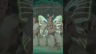 Amy was a fairy. #xg #Harvey